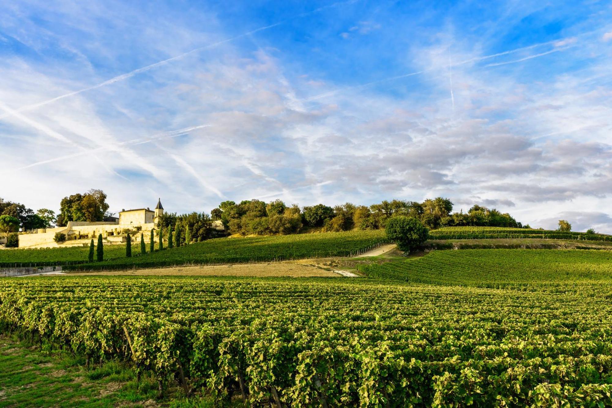 Clos 1906 Saint-Émilion Eksteriør bilde